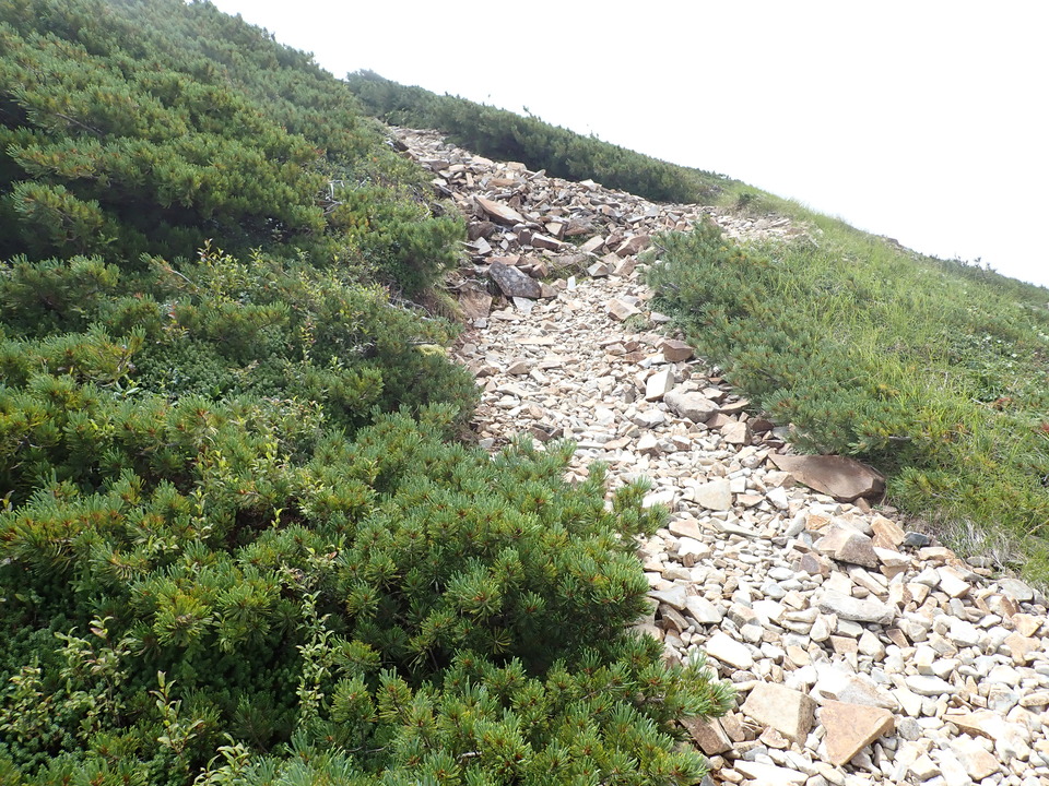 P8273068_mid.jpg