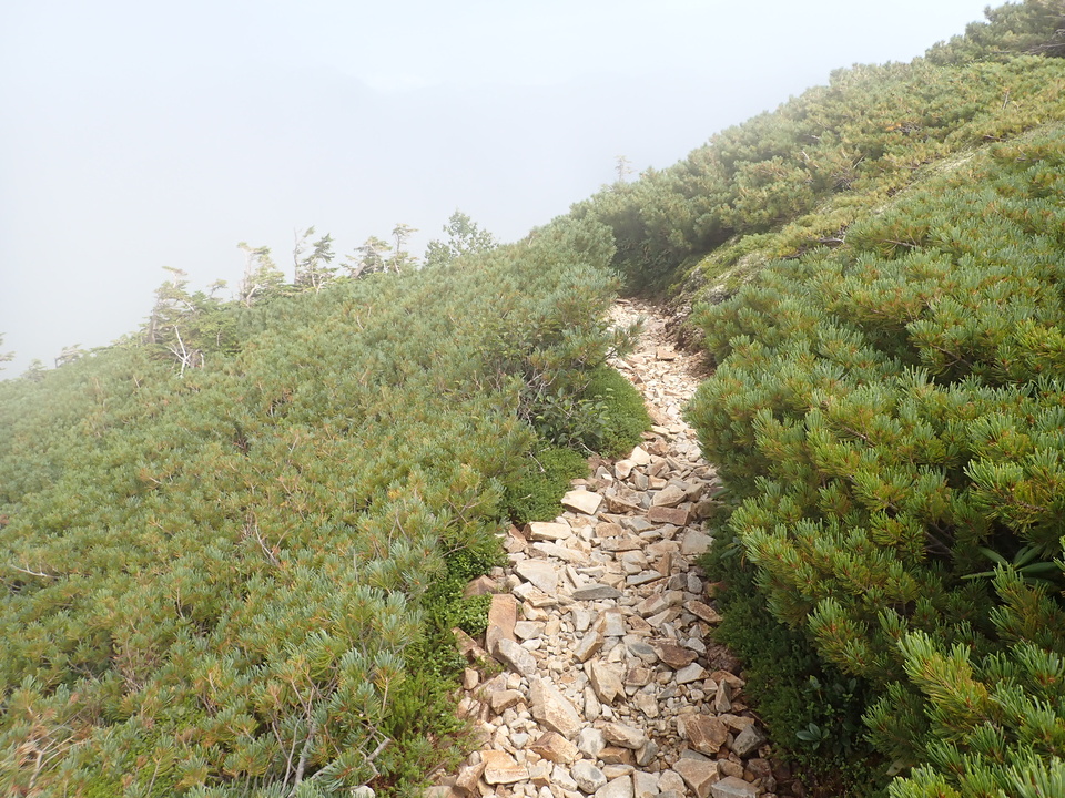 P8273069_mid.jpg