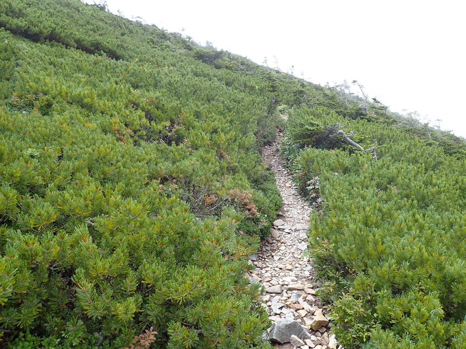 P8273071_mid.jpg