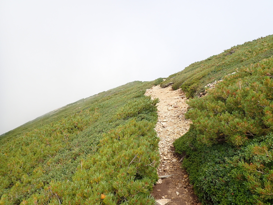 P8273072_mid.jpg