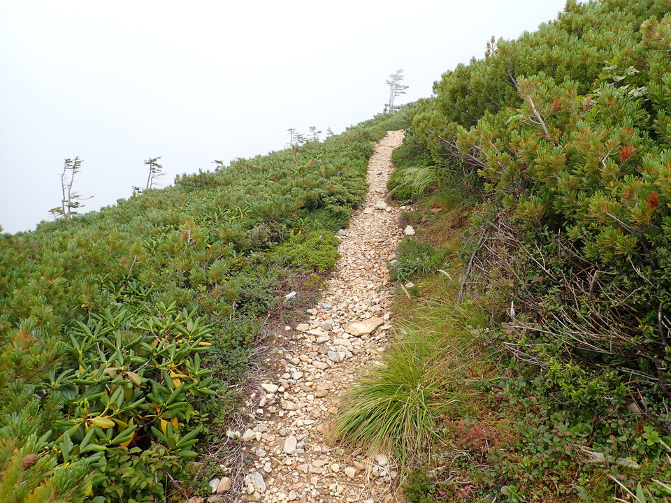 P8273074_mid.jpg