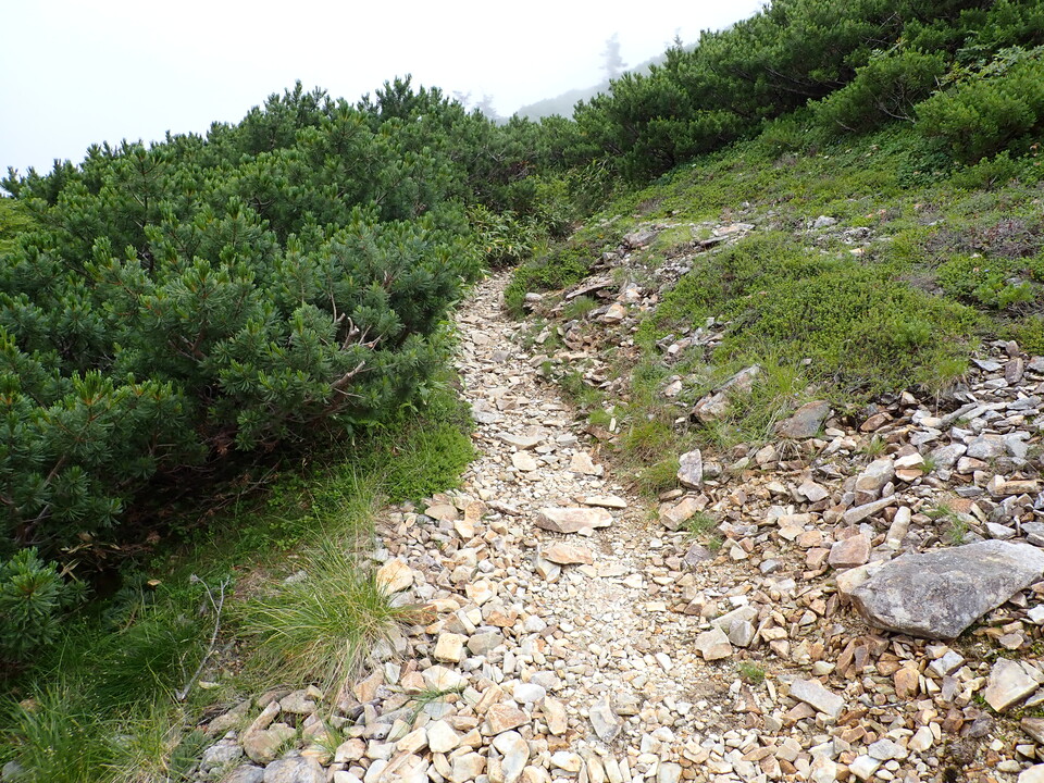 P8273078_mid.jpg