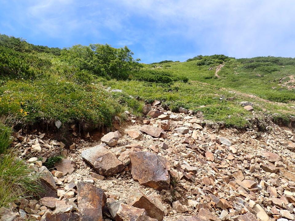 P8273079_mid.jpg