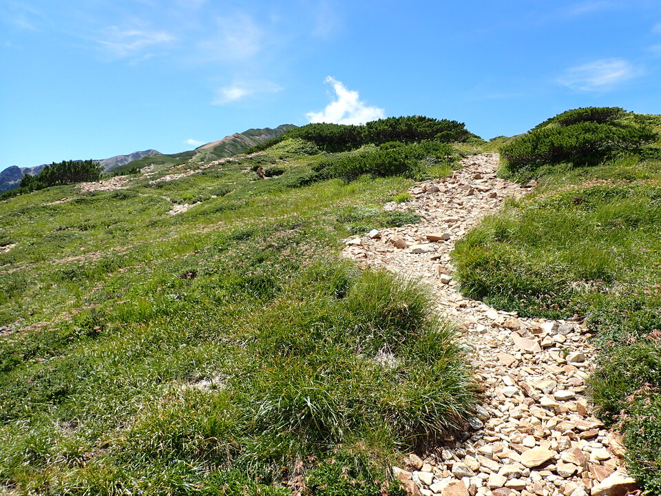 P8273081_mid.jpg