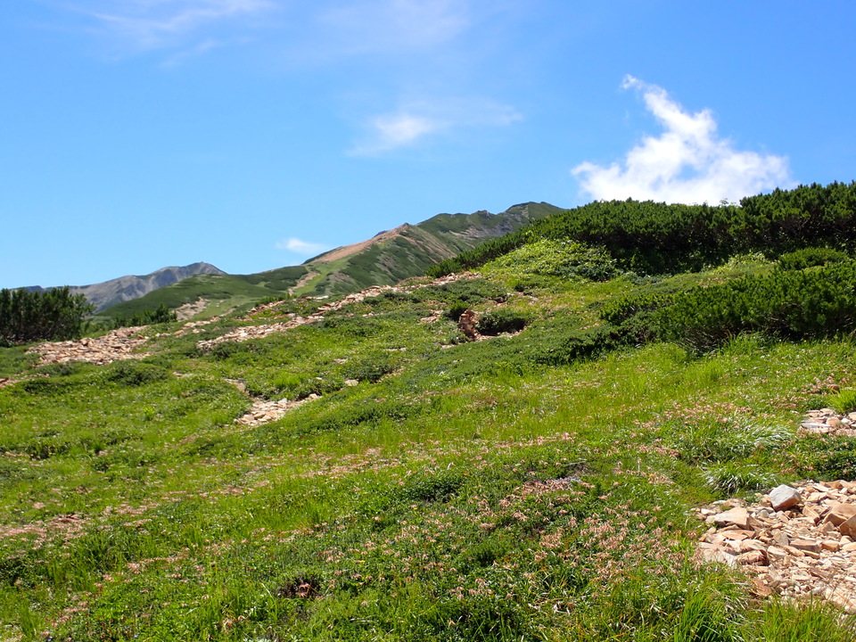 P8273082_mid.jpg