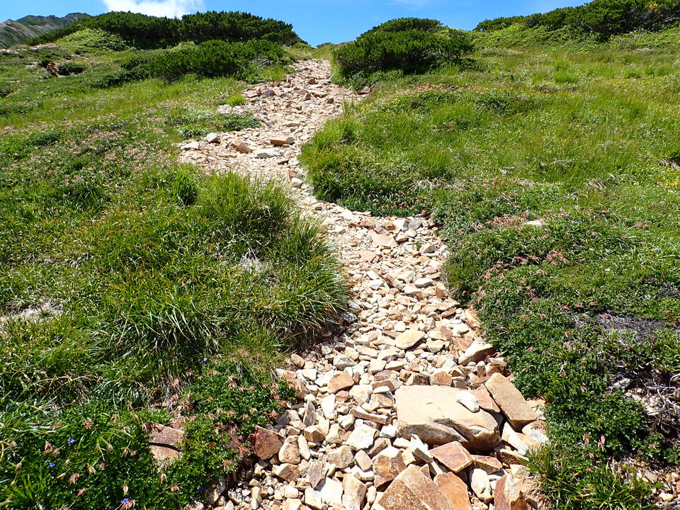 P8273084_mid.jpg