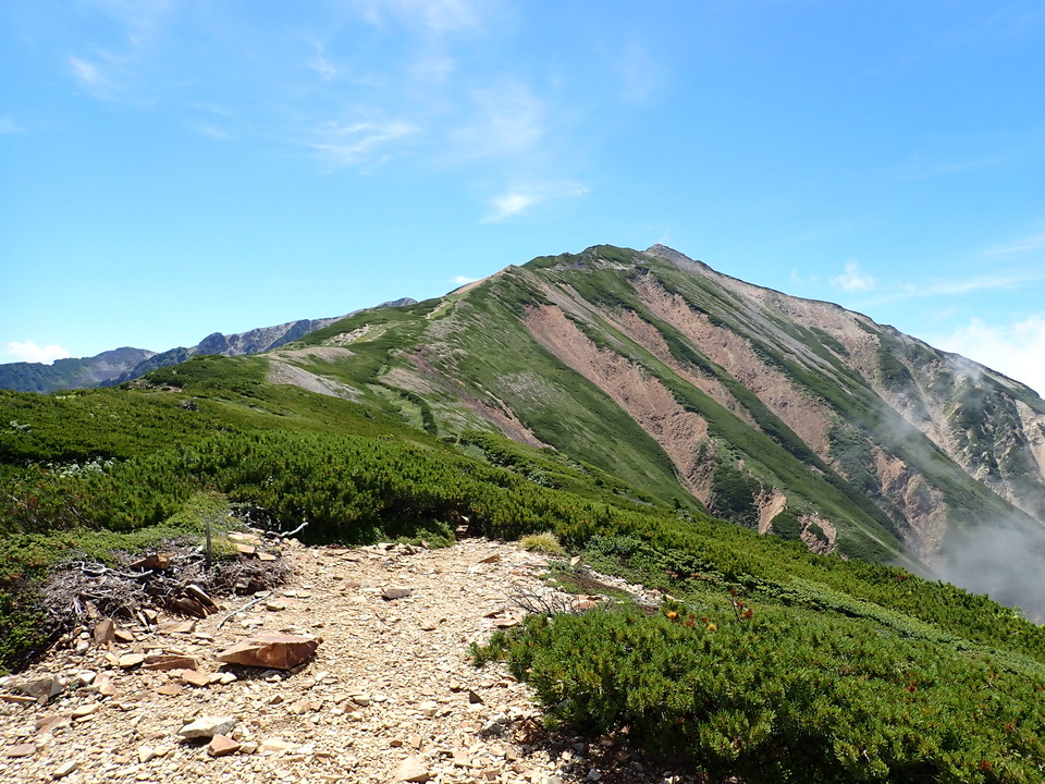 P8273086_mid.jpg