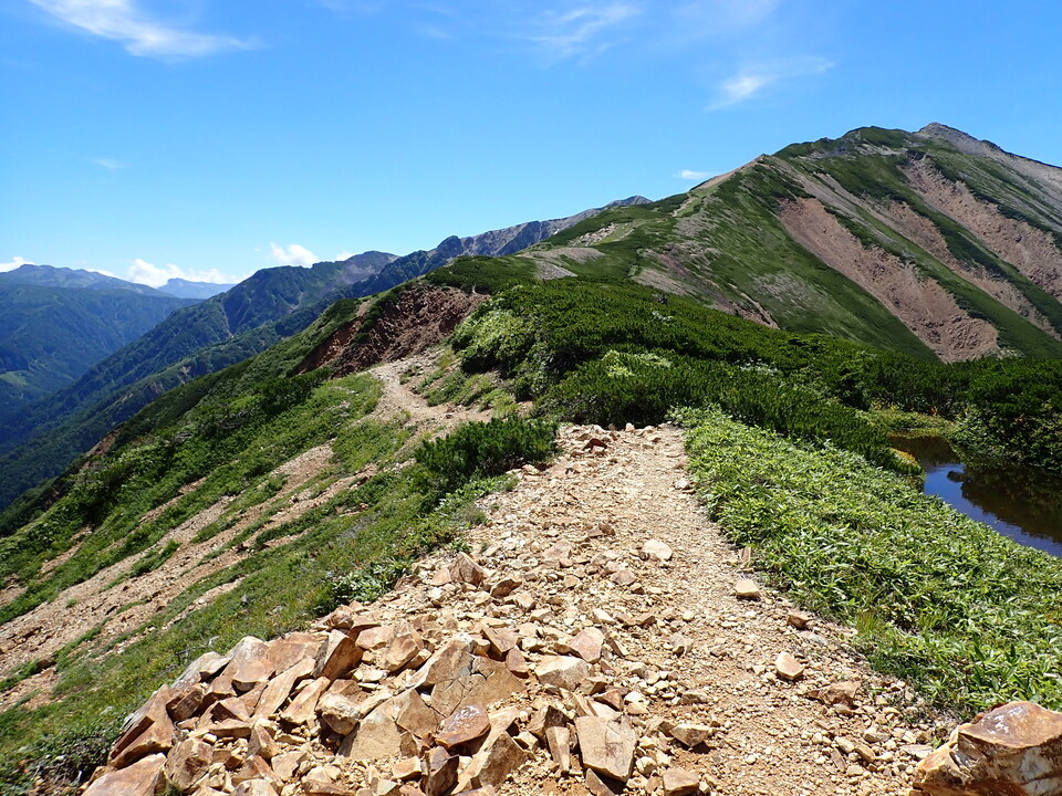P8273088_mid.jpg