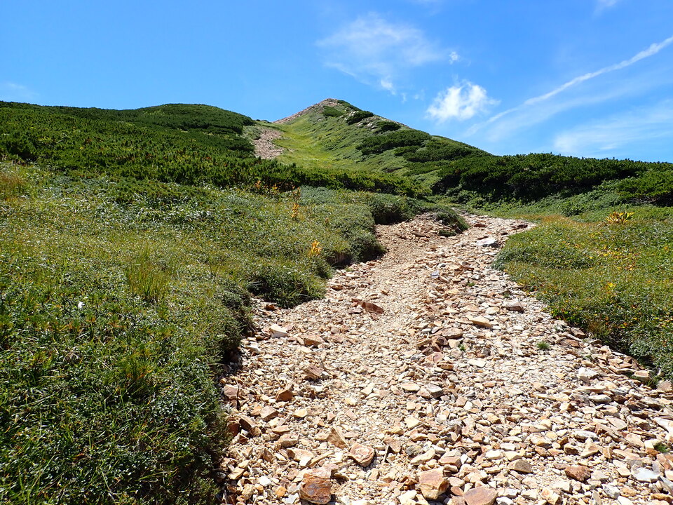 P8273098_mid.jpg