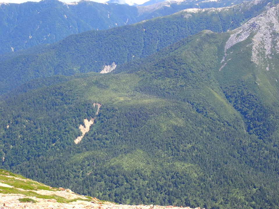 P8273101_mid.jpg
