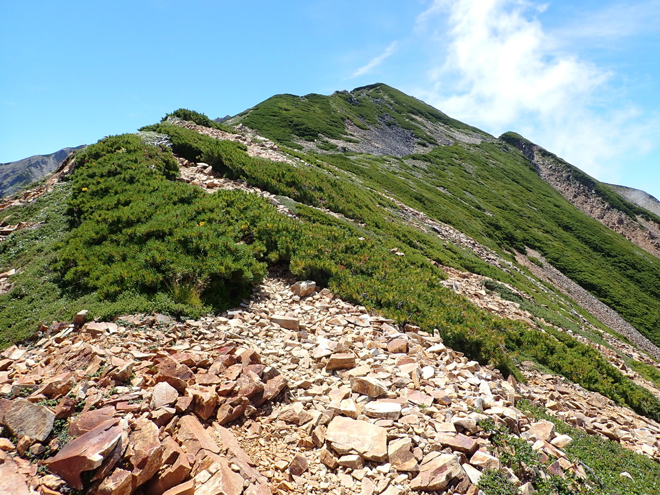 P8273107_mid.jpg
