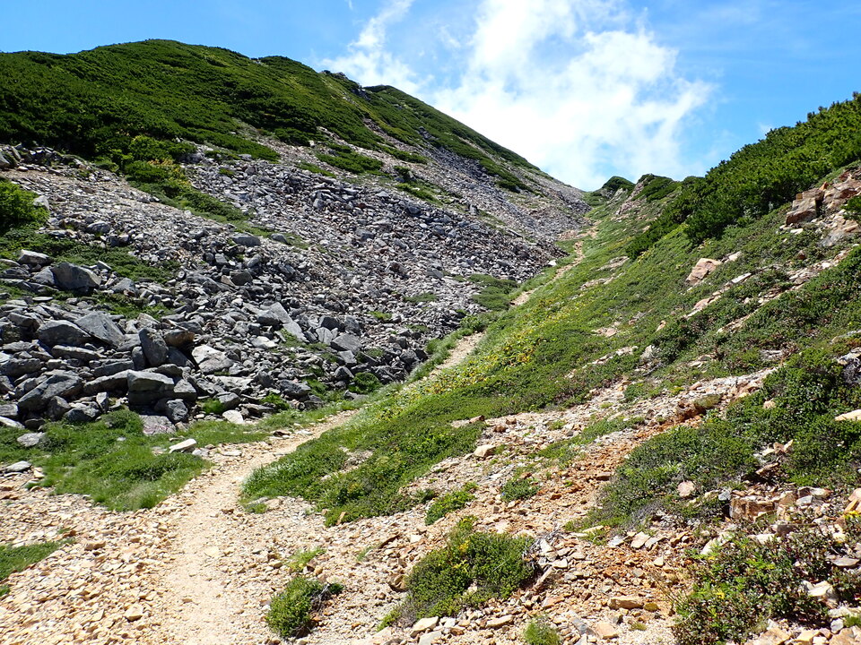 P8273110_mid.jpg