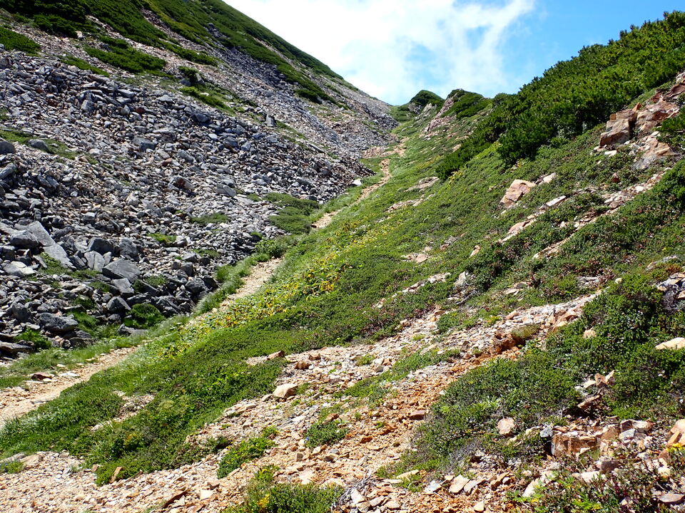 P8273111_mid.jpg