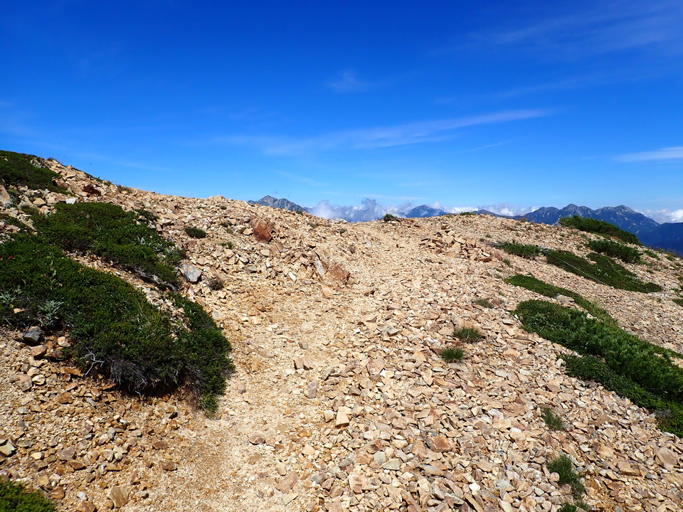 P8273112_mid.jpg