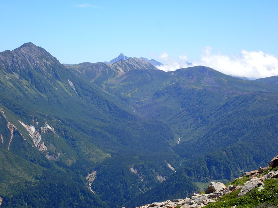 P8273115_mid.jpg