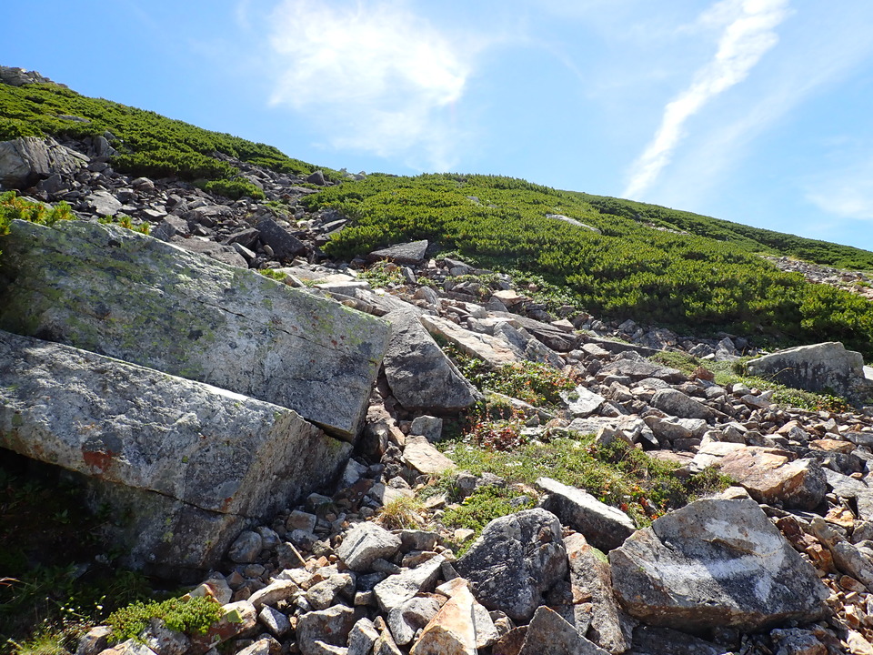 P8273117_mid.jpg