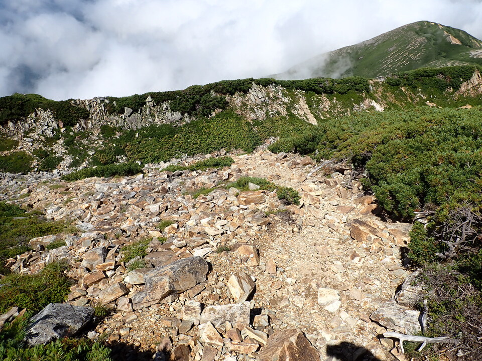 P8273120_mid.jpg