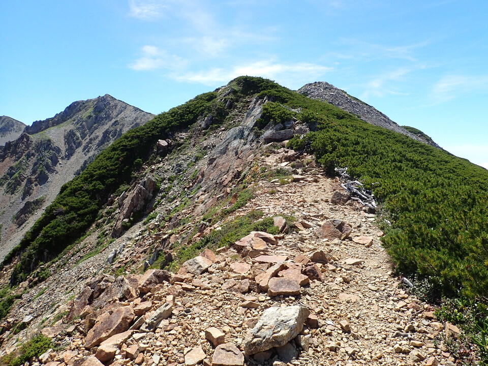 P8273124_mid.jpg
