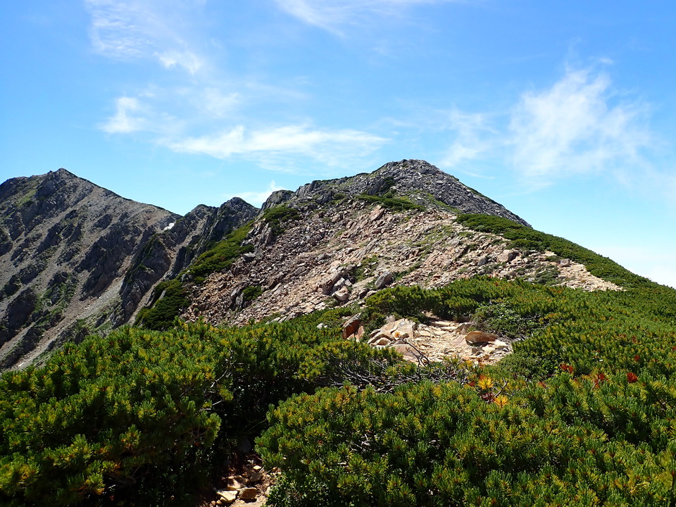 P8273129_mid.jpg