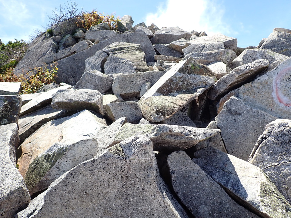 P8273131_mid.jpg