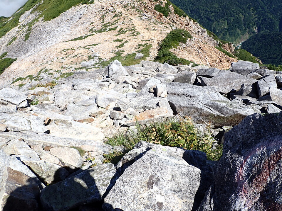 P8273132_mid.jpg