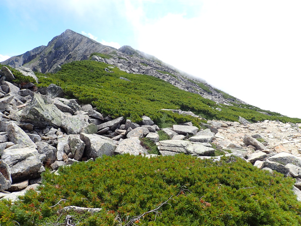 P8273133_mid.jpg