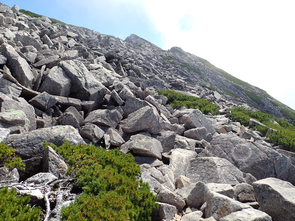 P8273135_mid.jpg