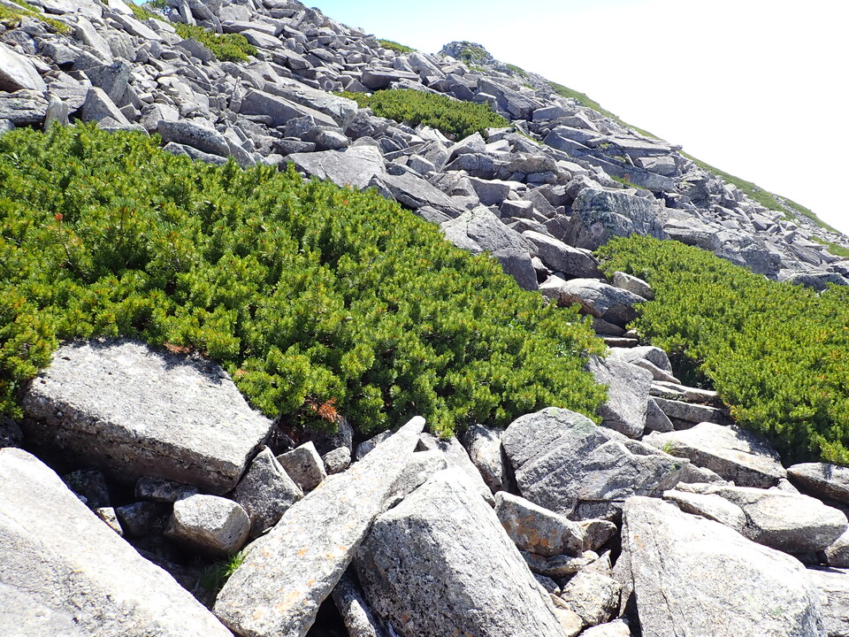 P8273137_mid.jpg