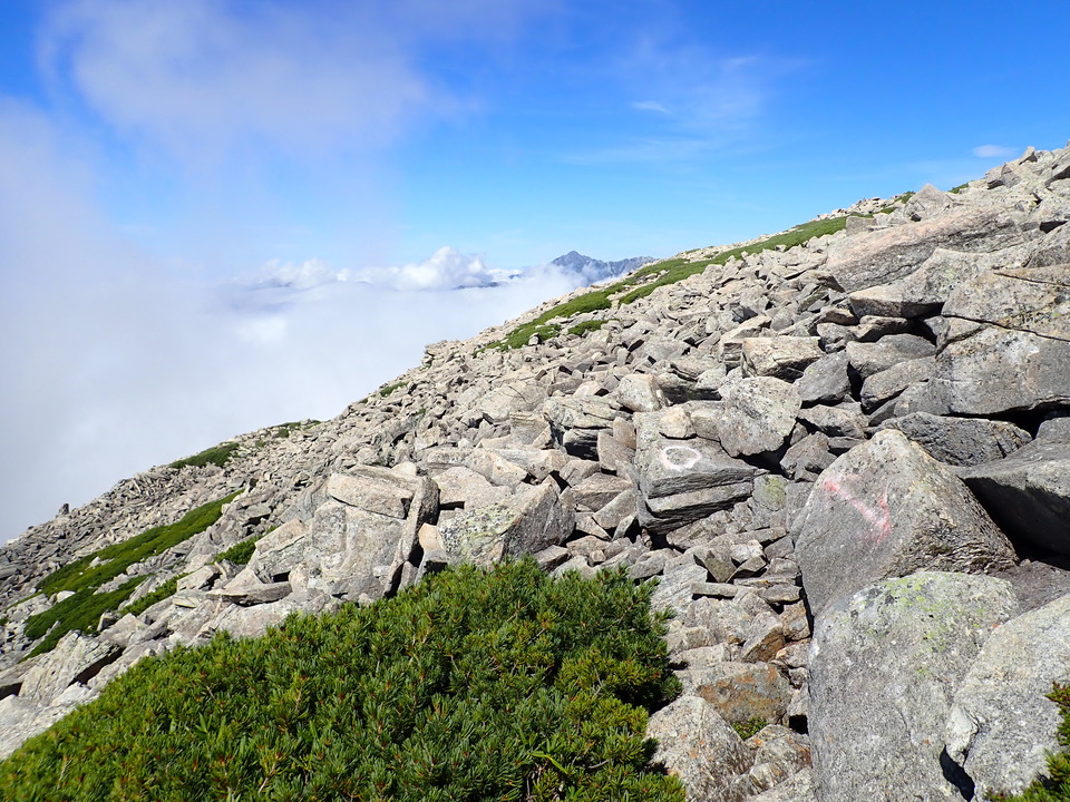 P8273139_mid.jpg