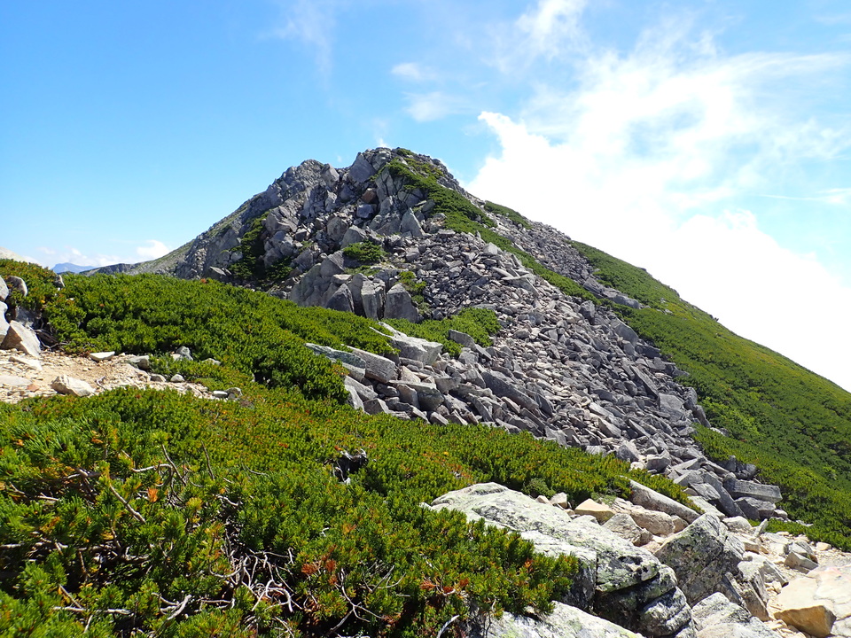 P8273141_mid.jpg