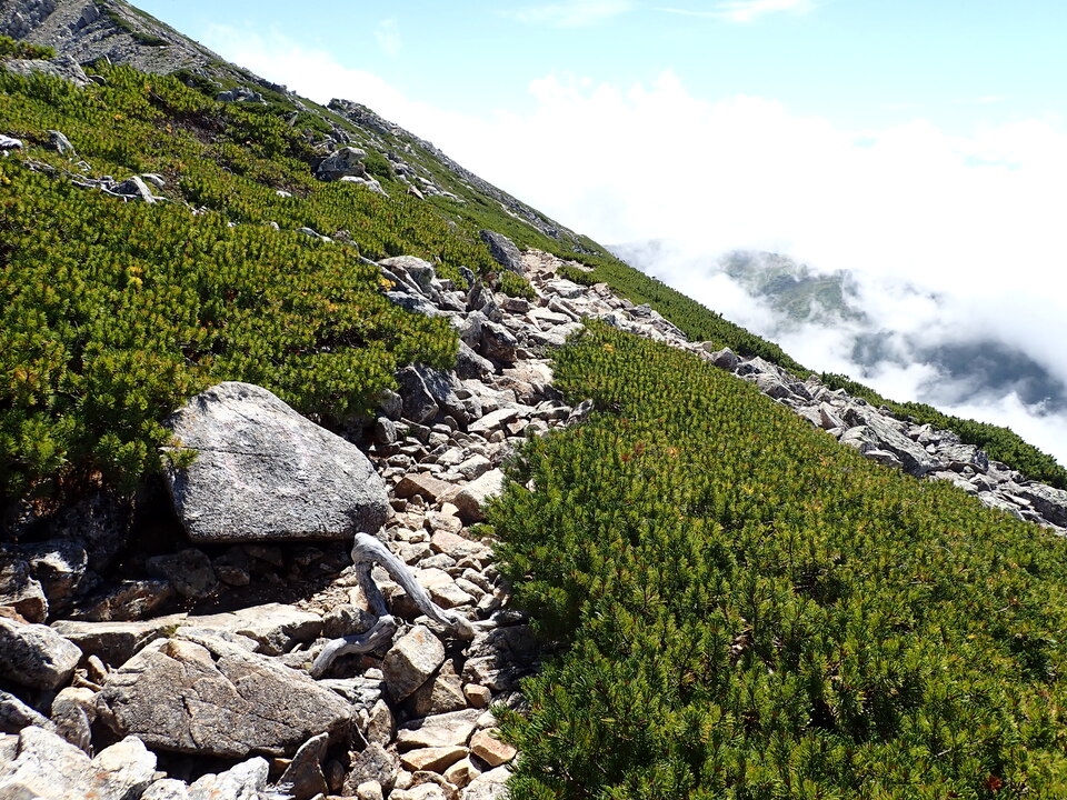 P8273144_mid.jpg