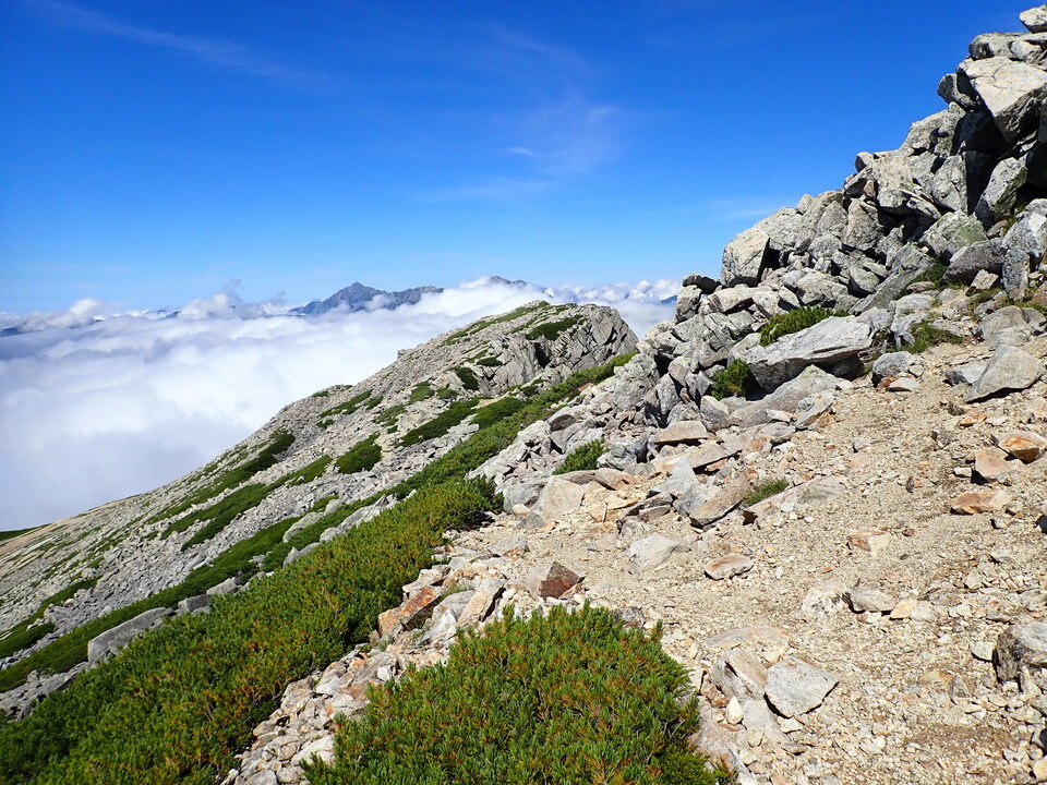 P8273145_mid.jpg
