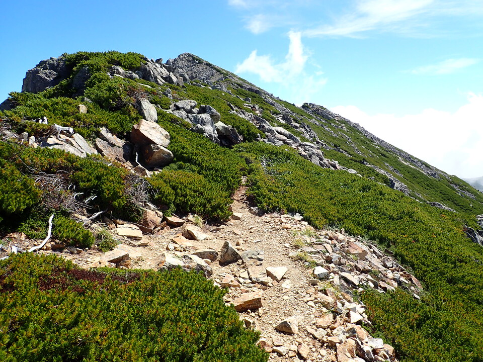 P8273146_mid.jpg