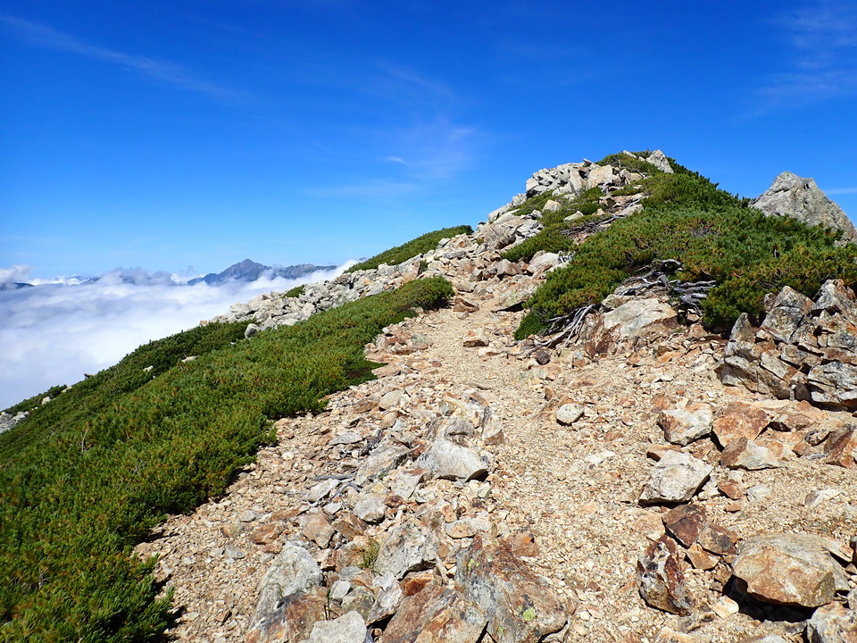 P8273148_mid.jpg