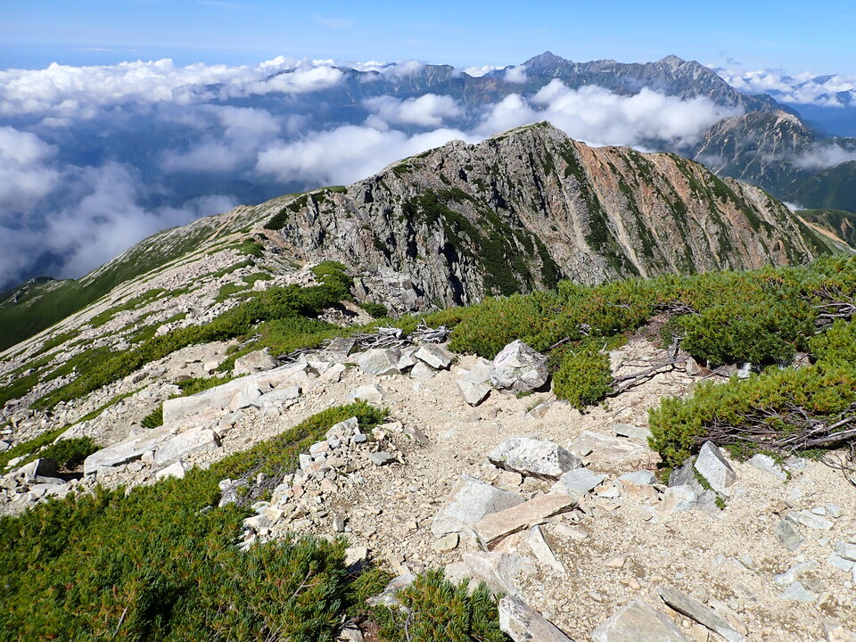 P8273152_mid.jpg