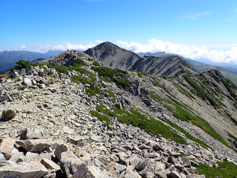 P8273154_mid.jpg