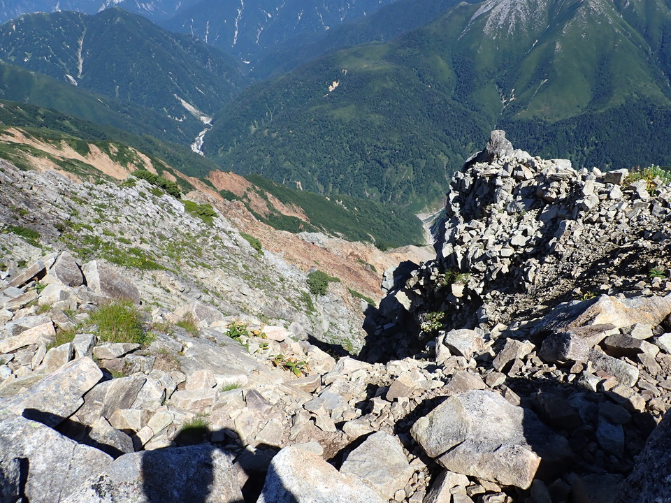 P8273156_mid.jpg