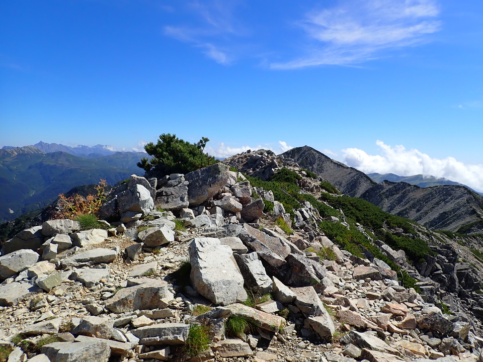 P8273160_mid.jpg