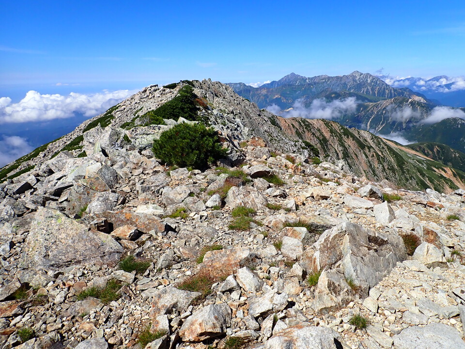 P8273164_mid.jpg