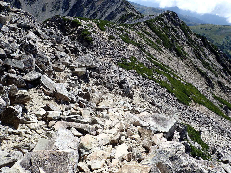 P8273165_mid.jpg