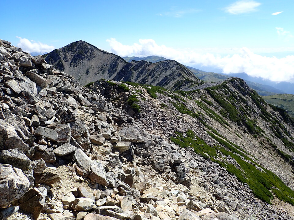 P8273166_mid.jpg