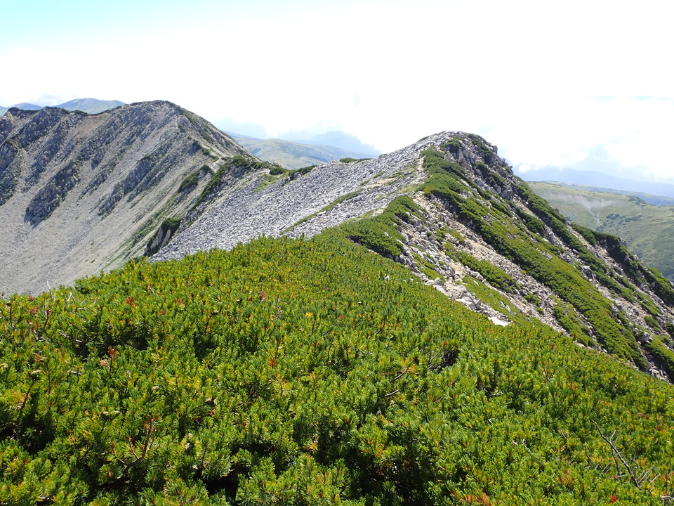 P8273167_mid.jpg