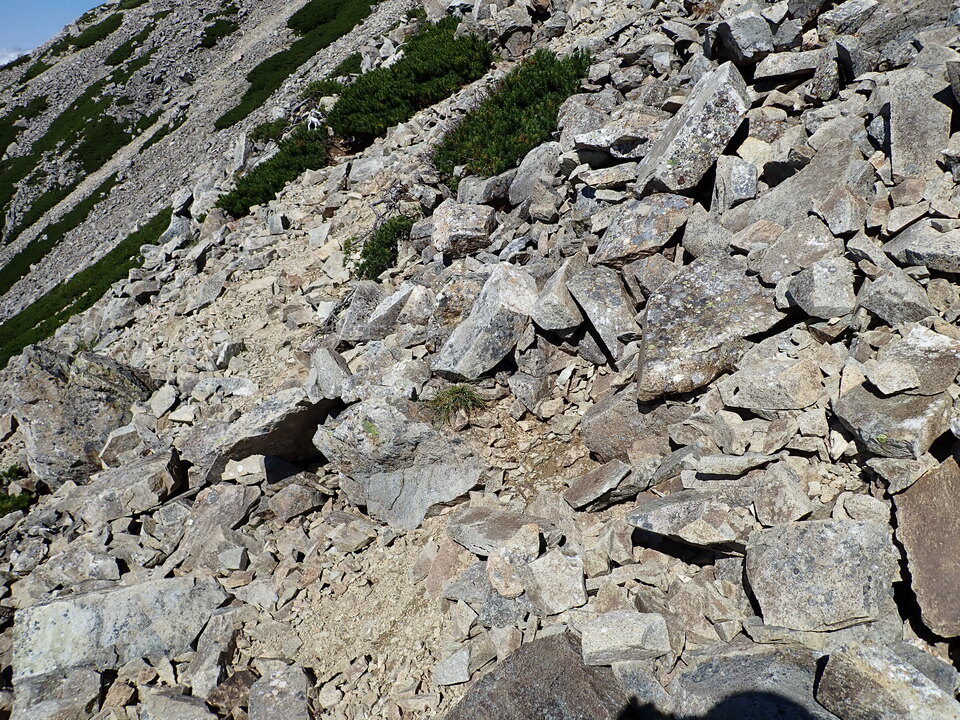 P8273169_mid.jpg