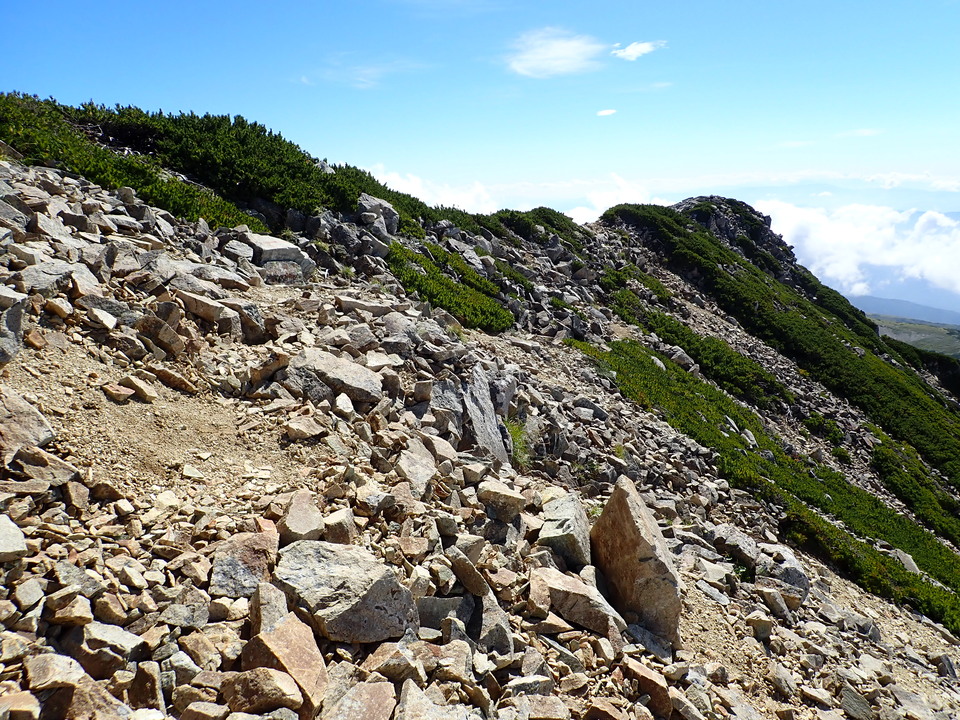 P8273170_mid.jpg