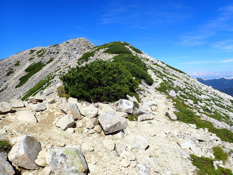 P8273172_mid.jpg