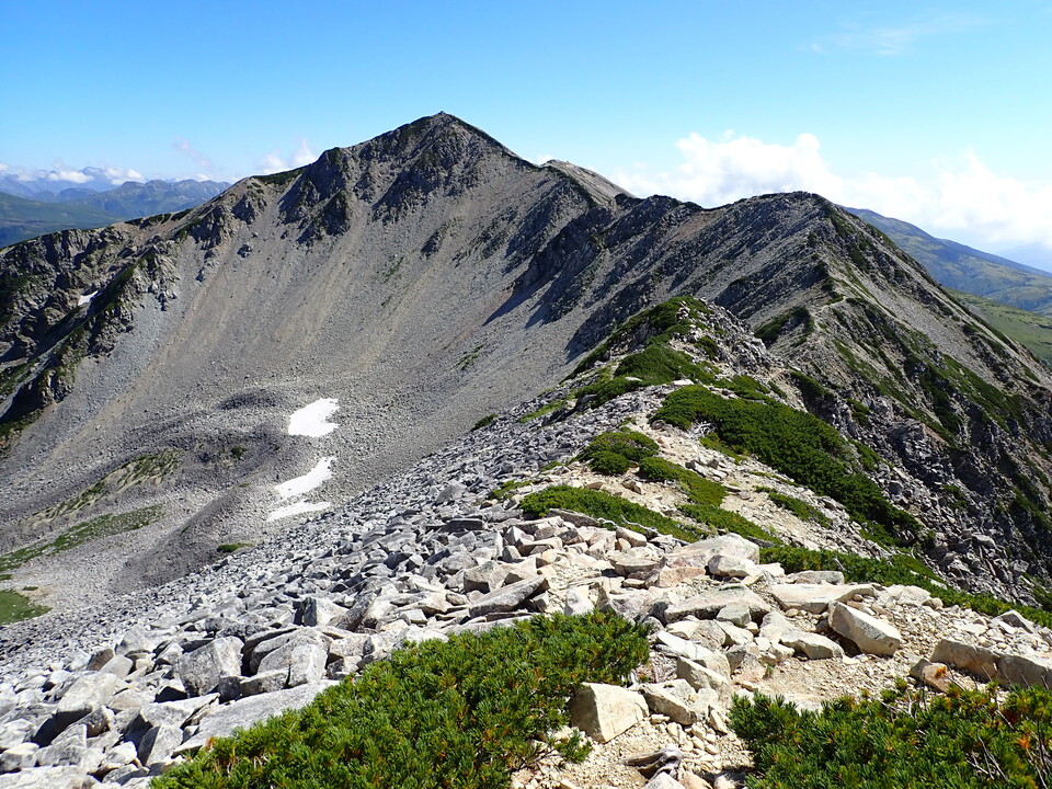 P8273173_mid.jpg