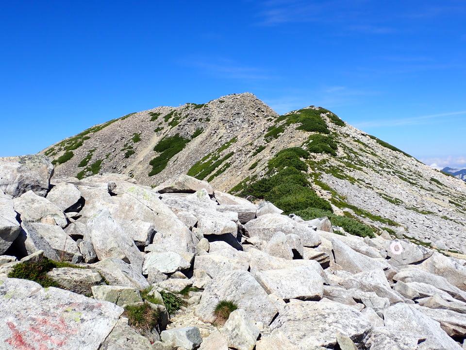 P8273174_mid.jpg