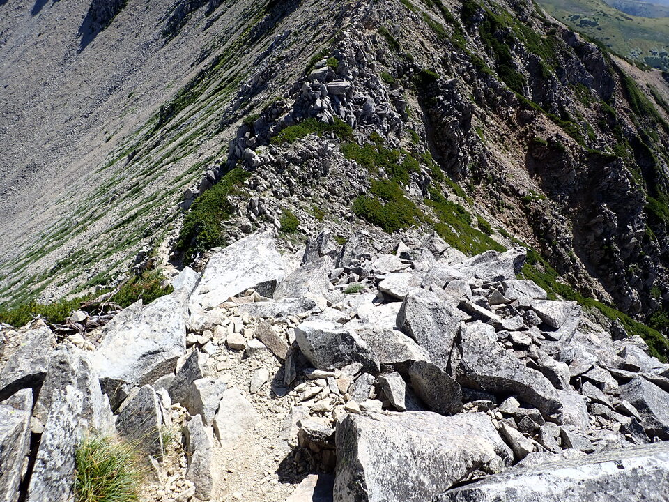 P8273175_mid.jpg