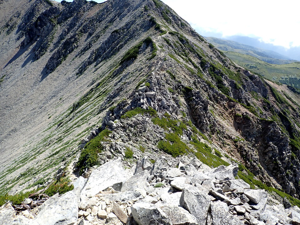 P8273176_mid.jpg