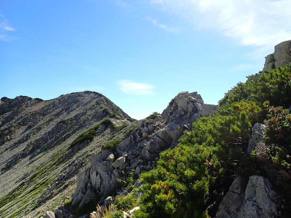P8273180_mid.jpg